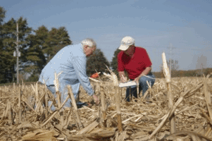 soiltemp2